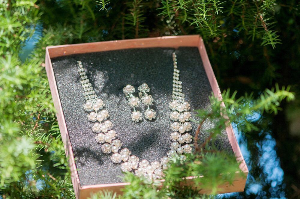 Pearl necklace and earrings